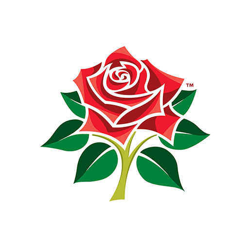 LAN Women Logo