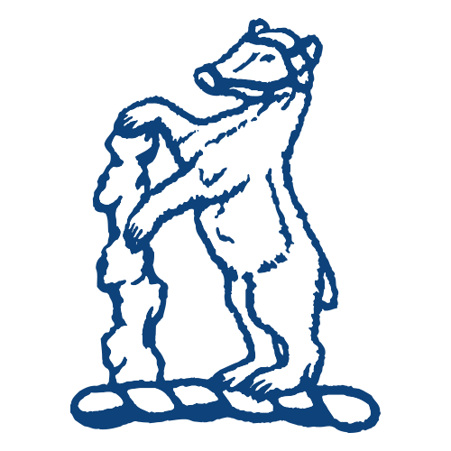 Birmingham Bears