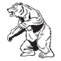 Bears Logo