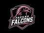 Fazilka Falcons